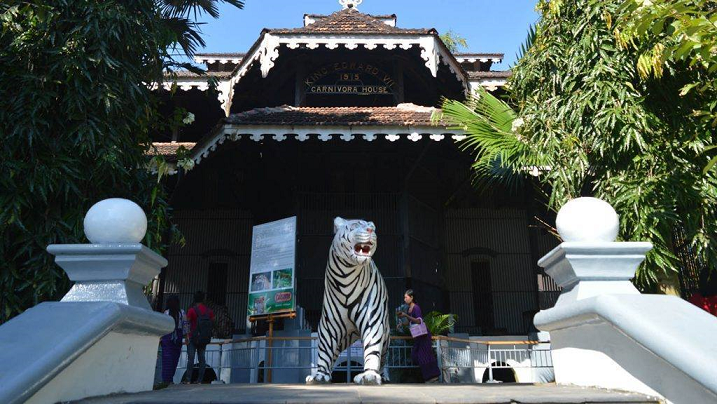 ヤンゴン動物園
