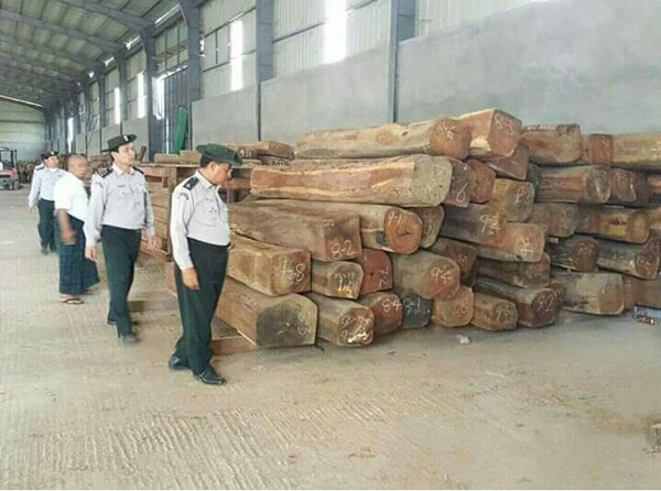 違法木材
